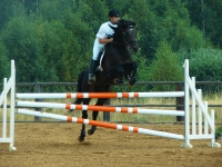 maciek-na-loganie-jpg1361713995